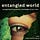 Entangled World