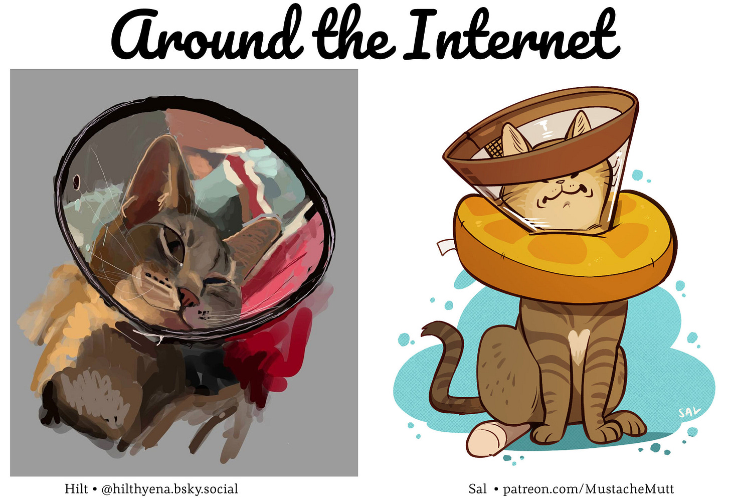 Title: Around the Internet Image: Two illustrations of a tabby cat in a medical cone. One, painterly, is by Hilt, and the other, cartoon-y, by Sal. Title: Around the Internet Image: Two illustrations of a tabby cat in a medical cone. One, painterly, is by Hilt, and the other, cartoon-y, by Sal.