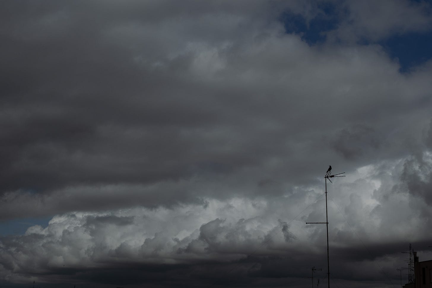 Dramatic clouds over Rome with a solitary crow sitting on an antenna overlooking the city 