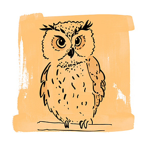 On being drawn to older women