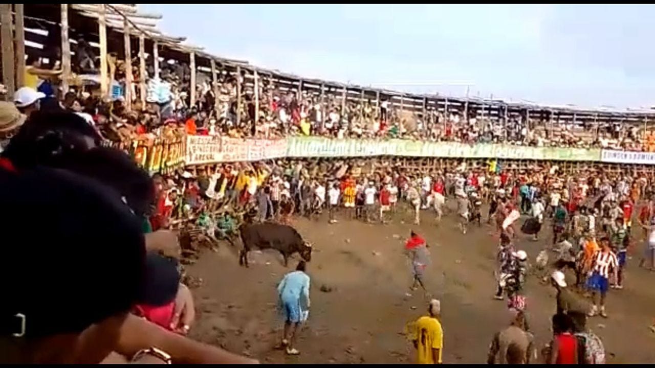 Corralejas de Sincelejo en la cuerda floja: una tutela podría suspender la  celebración prevista para el 20 de enero