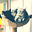 Avatar de Maxence