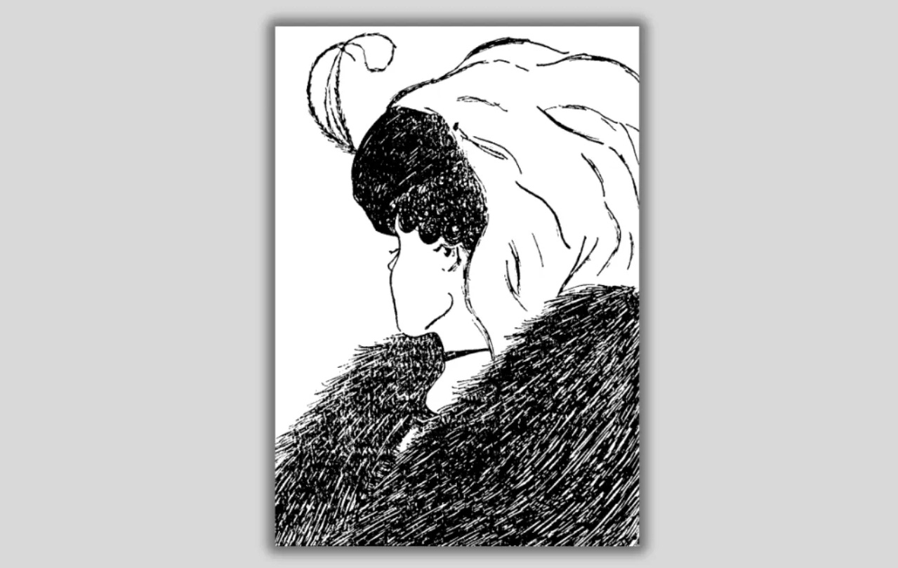 Image of Optical Illusion Old vs Young woman Image of Optical Illusion Old vs Young woman