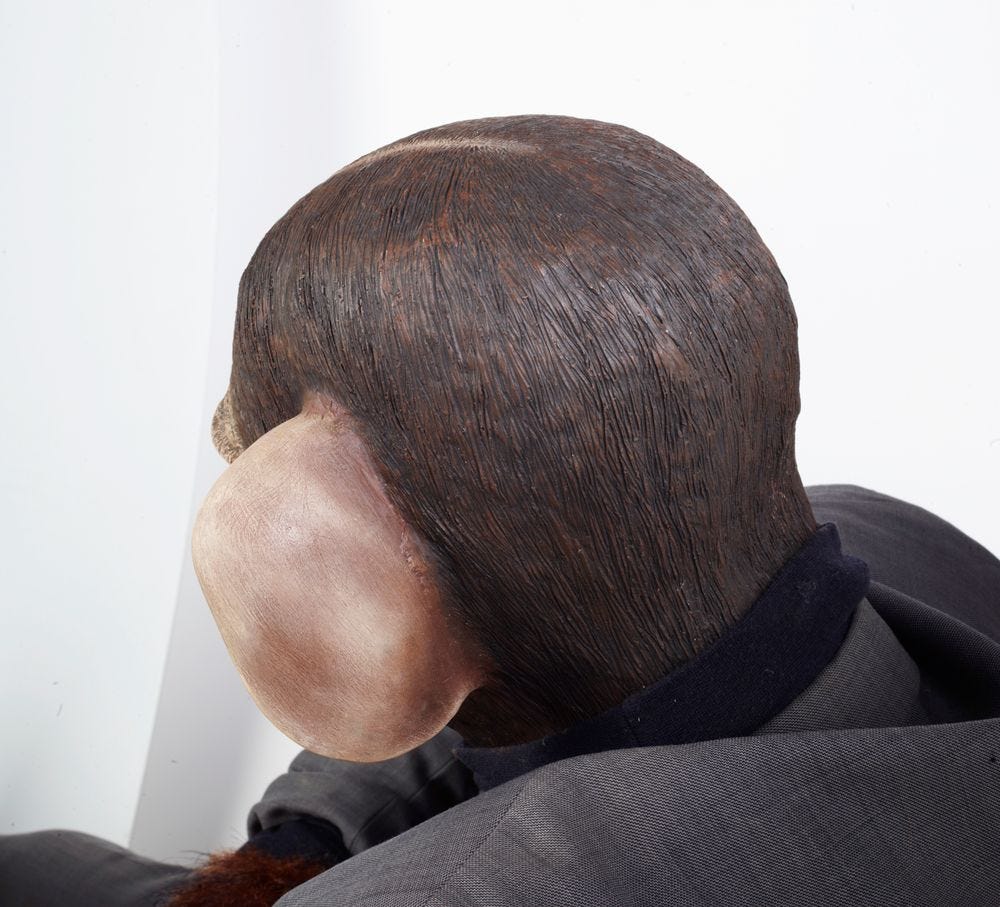 2005-0014-1; Sick chimp; 2002; van Hout, Ronnie ; view 05