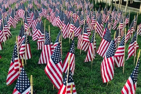 Image of hundreds of U.S. Flags in a field.