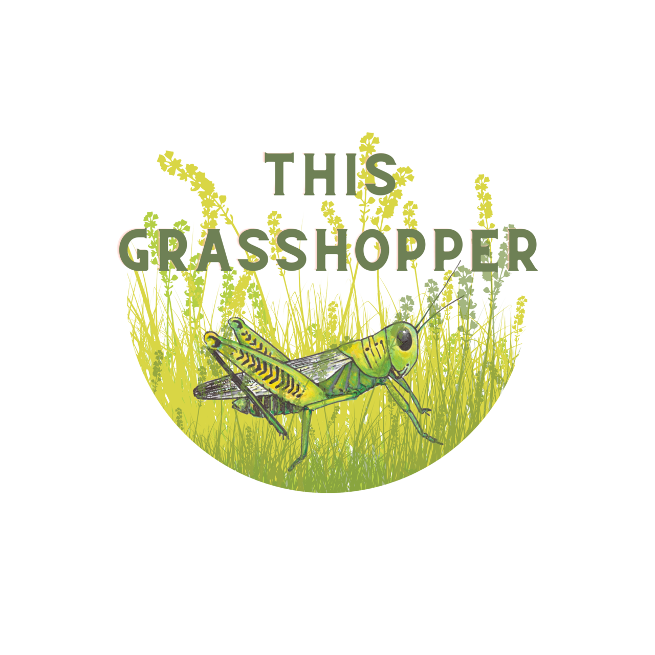 This Grasshopper