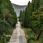 Bolgheri | The story of an amaro