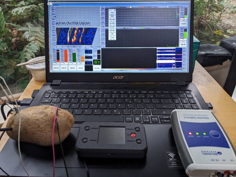 EEG tACS tDCS electrical brain stimulation potato psychotherapy counseling coaching lincoln stoller