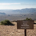 Spring Break 2026: One Last Morning in Joshua Tree
