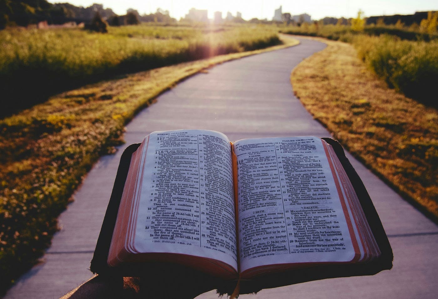 Mosaic Law and Economics: A God Given Road Map that No One Has Actually  Used | by Ellen Clardy, PhD | ILLUMINATION | Medium