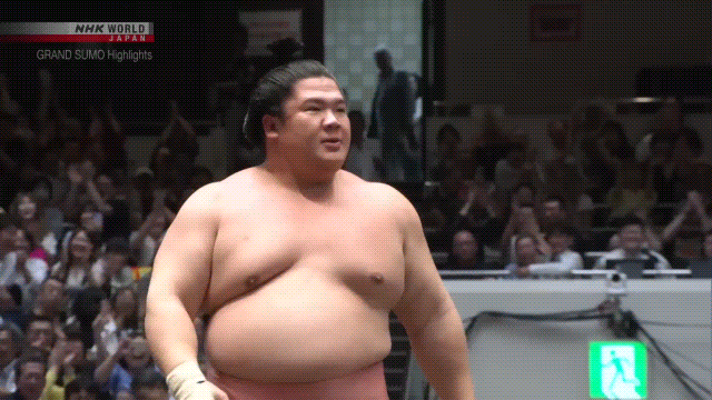 Sumo Stomp! | Tim Edwards | Substack