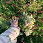 𓂆 نونہ...رآء's avatar