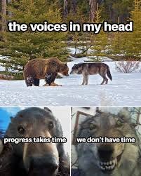 Nordic Sisterhood - Some days I'm the bear 🐻 Some days I'm the wolf 🐺 |  Facebook