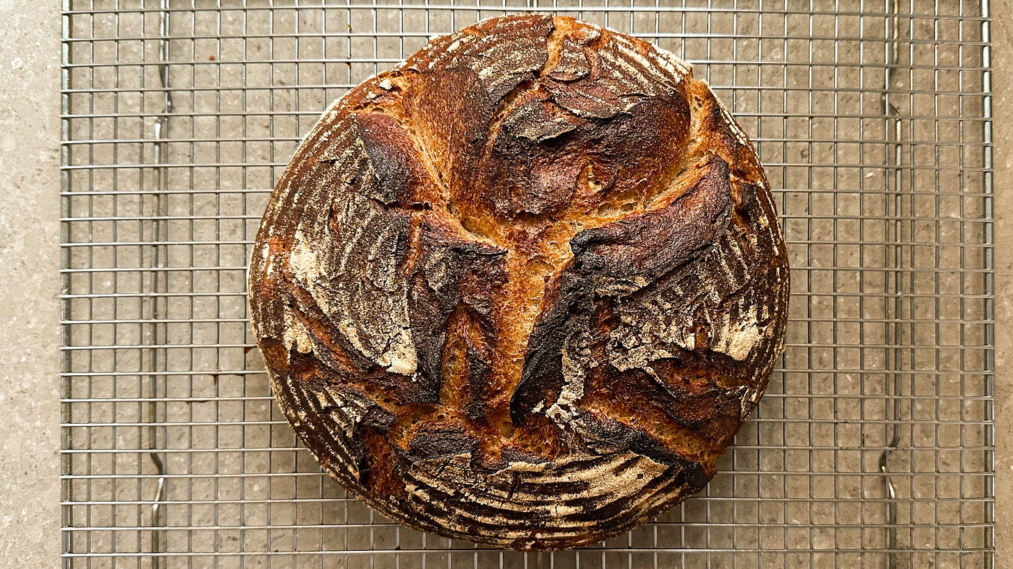 Overhead of a darkly colored, craggy-crusted, round loaf of chestnut bread.
