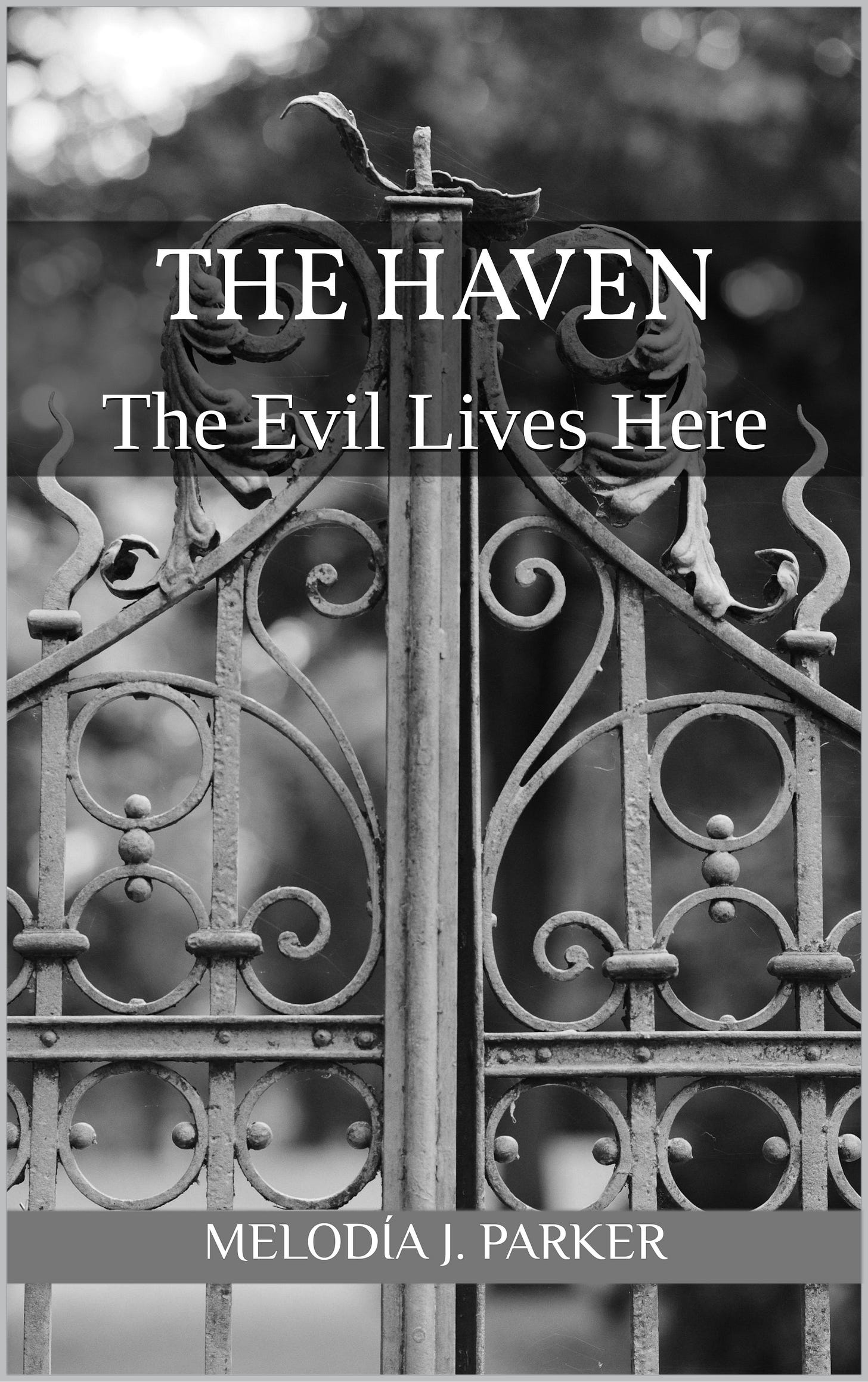 The Haven The Haven