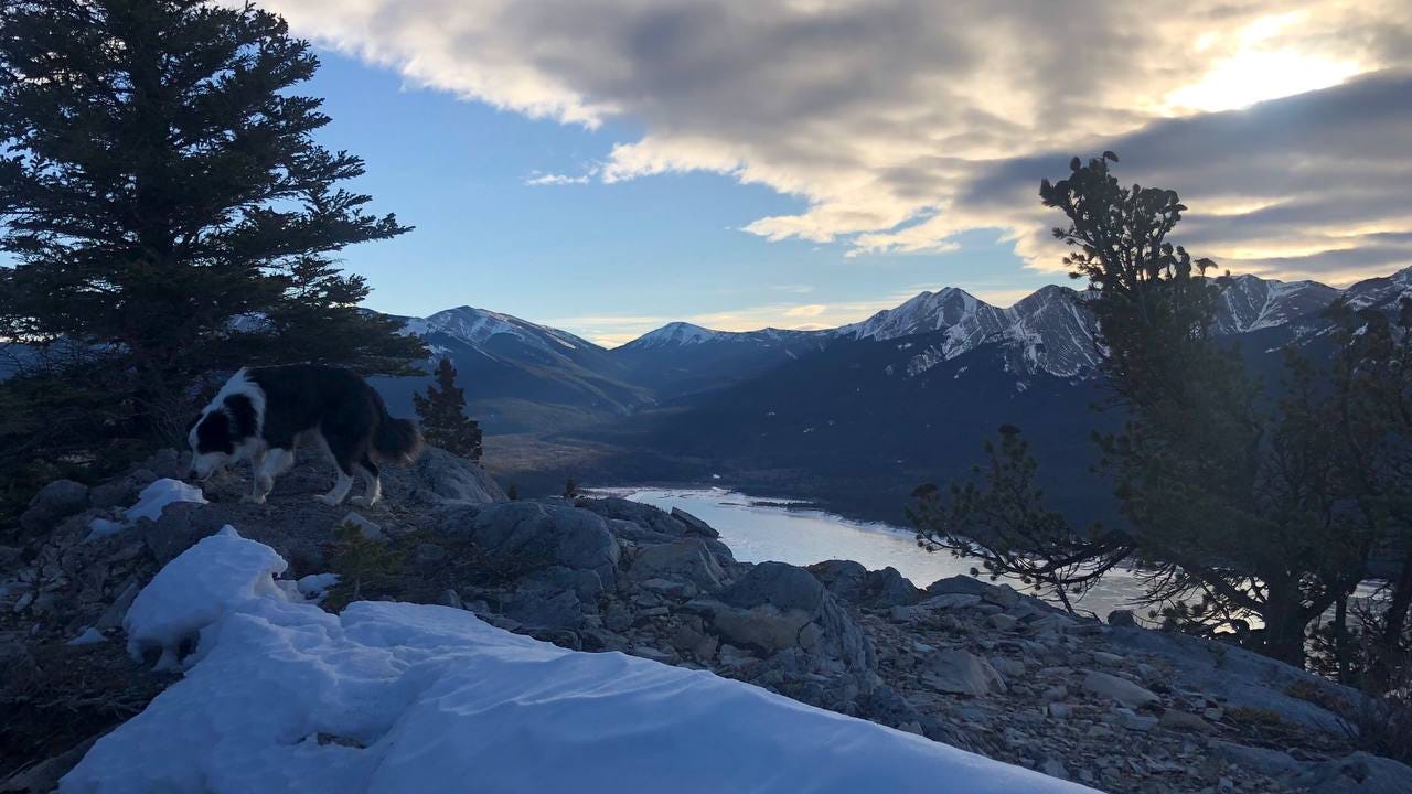A hike with my dog