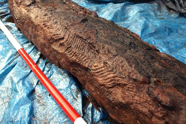 One of Europe's oldest decorative wood carvings unearthed on Welsh  mountainside - Wales Online