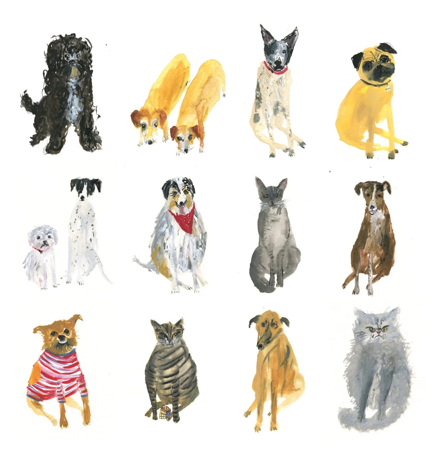 wonky pet portraits’ by Australian artist Faye Moorhouse