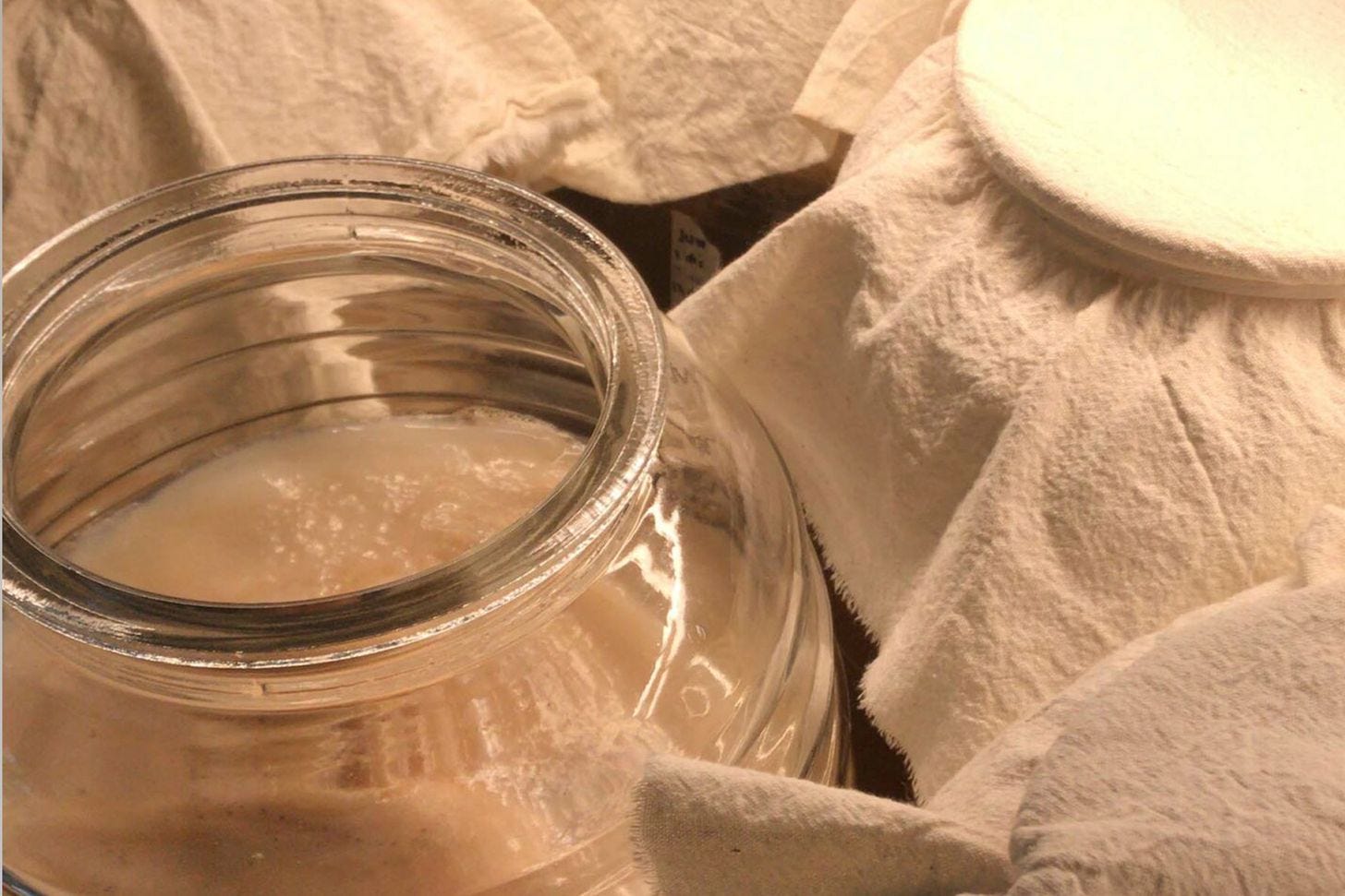 Fermentation Fermentation