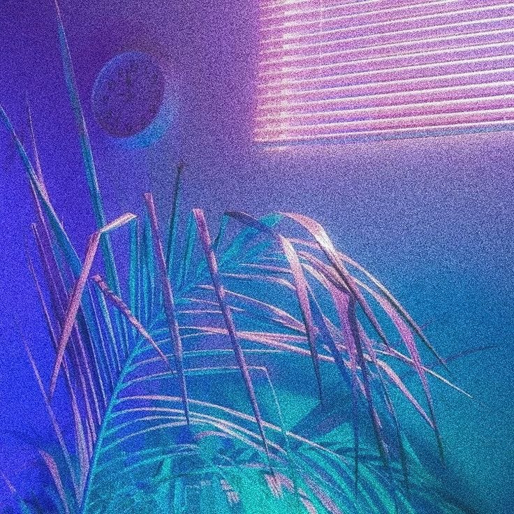 This may contain: a plant with purple and blue lights in the background is lit up by a window