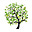 The Non-Linear Branch's avatar