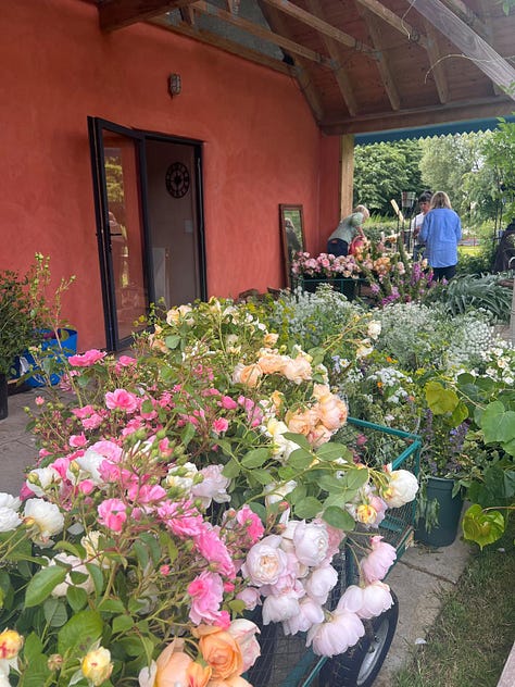 Photos from previous eco floristry retreats at Common Farm Flowers in Somerset