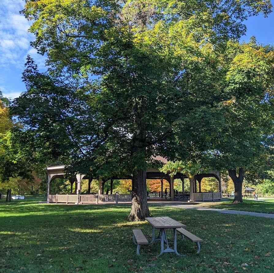Genesee Valley Park picnic
