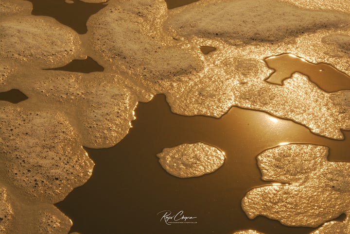 Photographs of the Varuna River, before the edits.