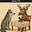 RethinktheWolf's avatar