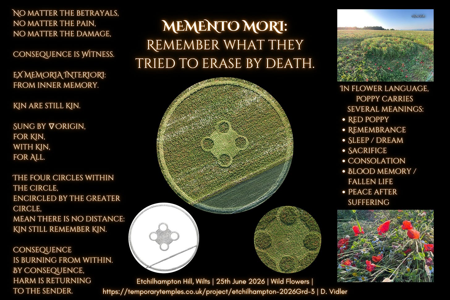 Image 2: remembrance / poppy / consequence / Kin still remember Kin. Image 2: remembrance / poppy / consequence / Kin still remember Kin.