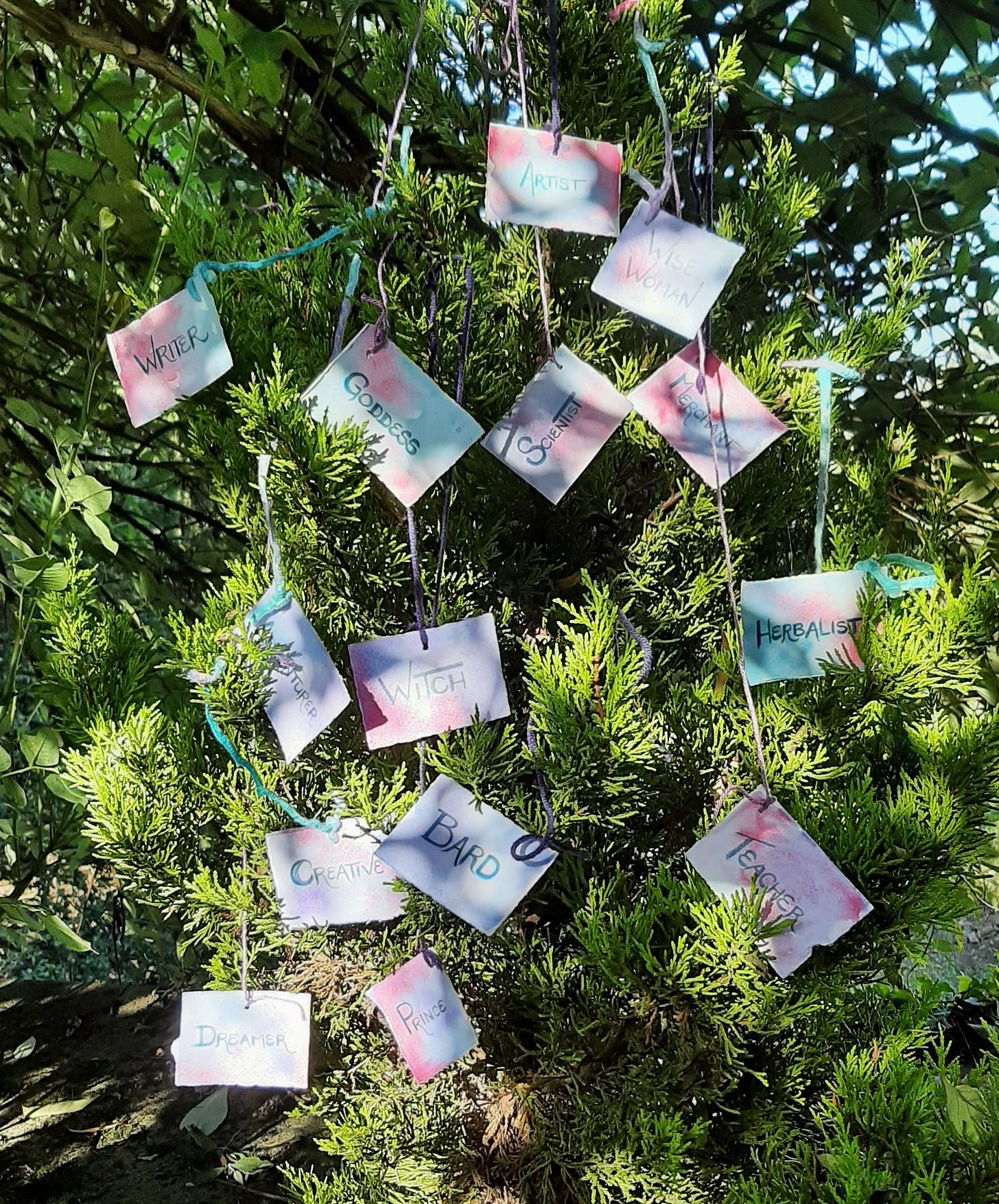 Braiding Lives The Creatrix Experience Elizabeth des Roches