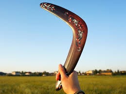 Boomerang "lizard". Returning ...