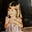 phoebe mcpherson's avatar