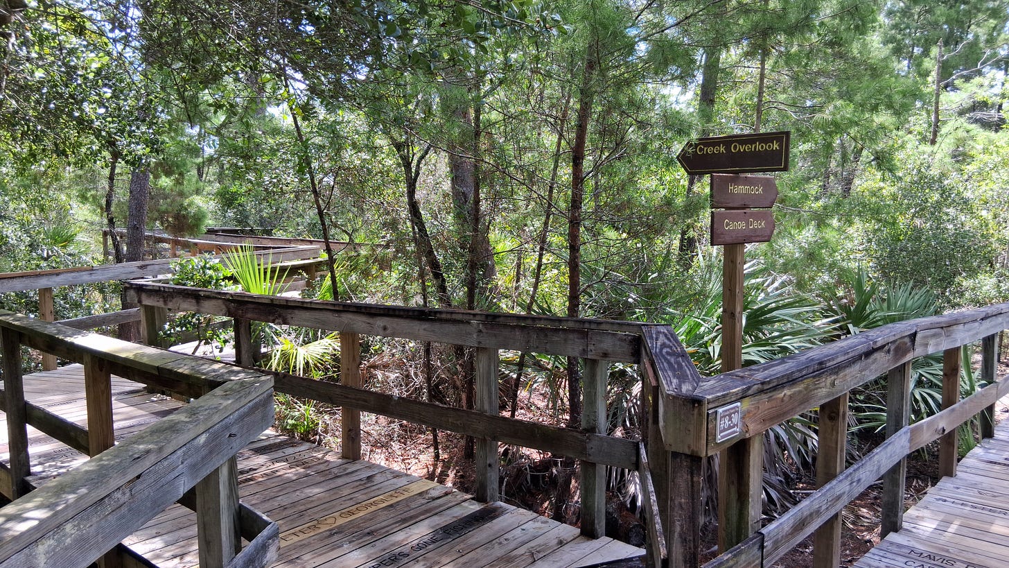 Boardwalk at Turkey Creek, Palm Bay, Florida