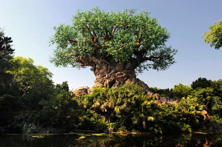 The Art of Conservation: Five(ish) Fun Facts About the Tree of Life in Disney's Animal Kingdom The Art of Conservation: Five(ish) Fun Facts About the Tree of Life in Disney's Animal Kingdom