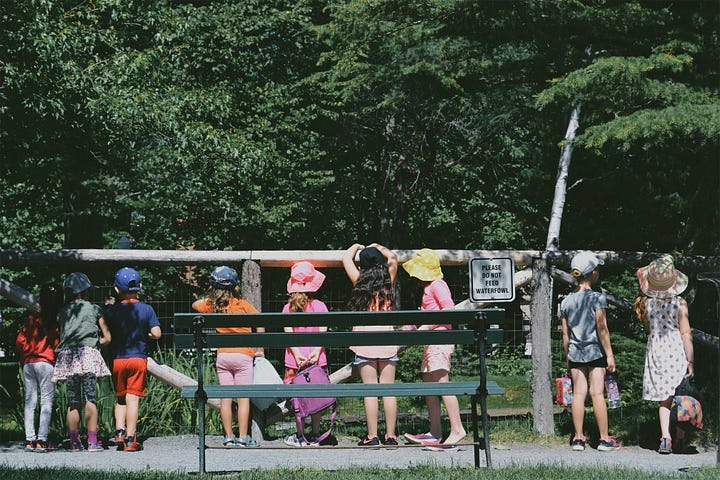 a group of youg children visiting a natural place
