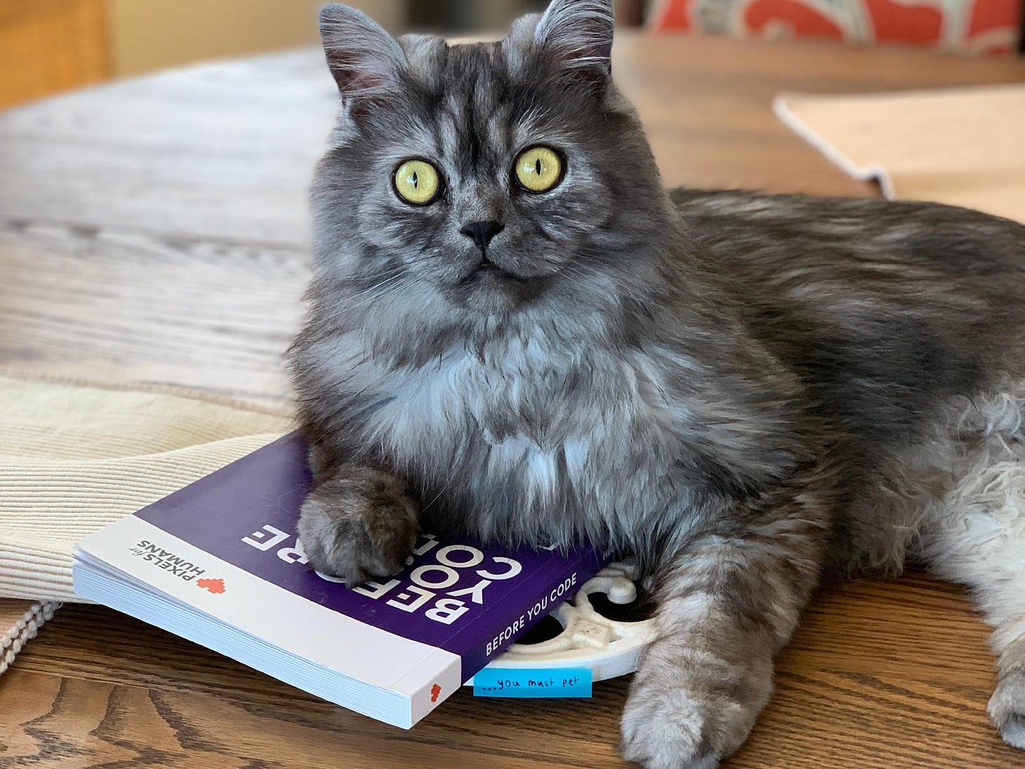 A photo of long-haired fluffy gray cat with big yellow eyes resting atop a book called "Before you code" by Pixels for Humans. A photo of long-haired fluffy gray cat with big yellow eyes resting atop a book called "Before you code" by Pixels for Humans.