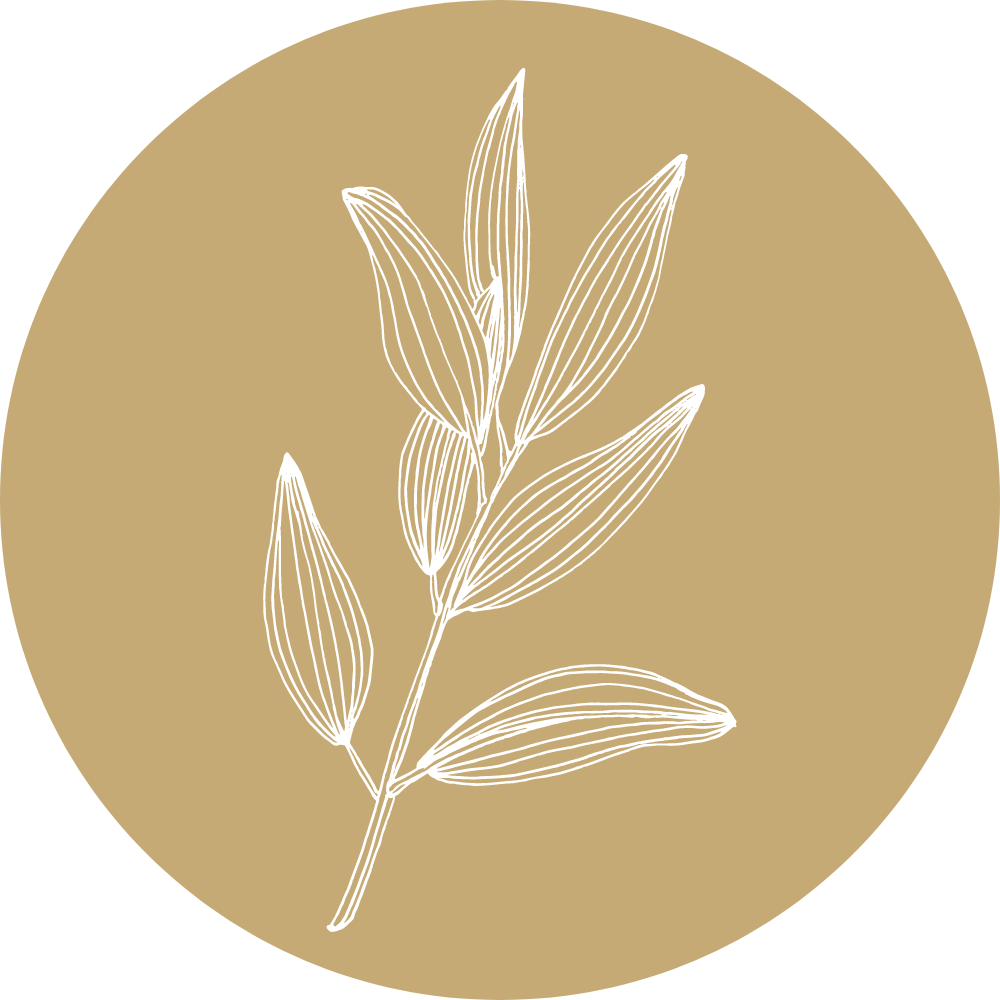 transmissions from the hill