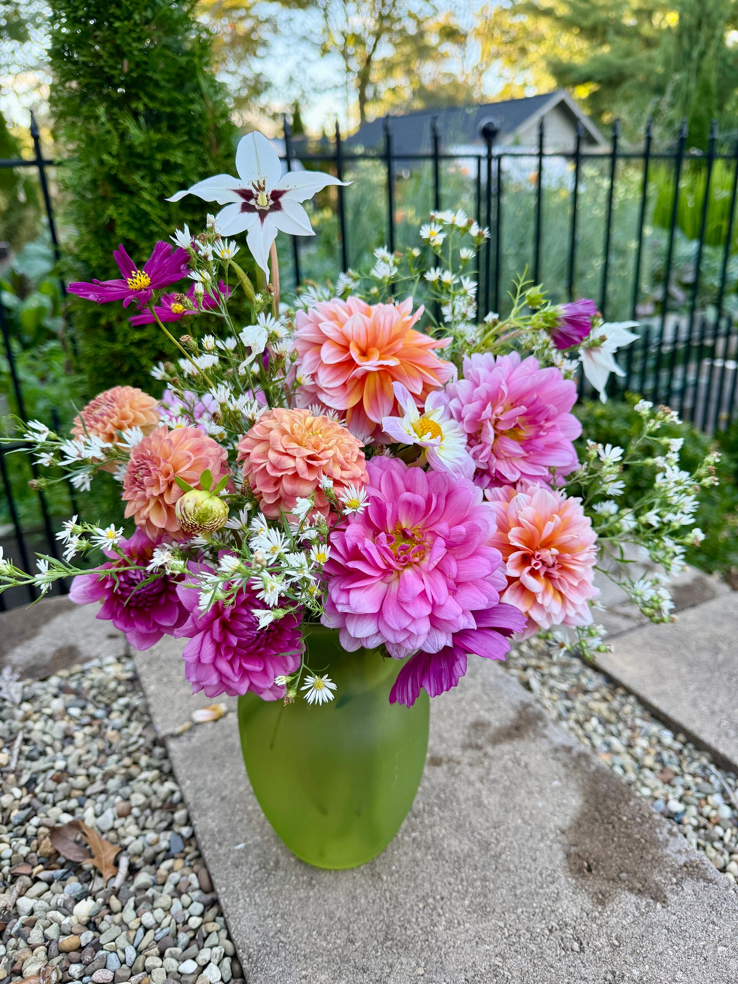 Pinks, purples, and orange Dahlias, Cosmos, and Peacock Orchids in my October bouquet from the Kitchen Garden. 
