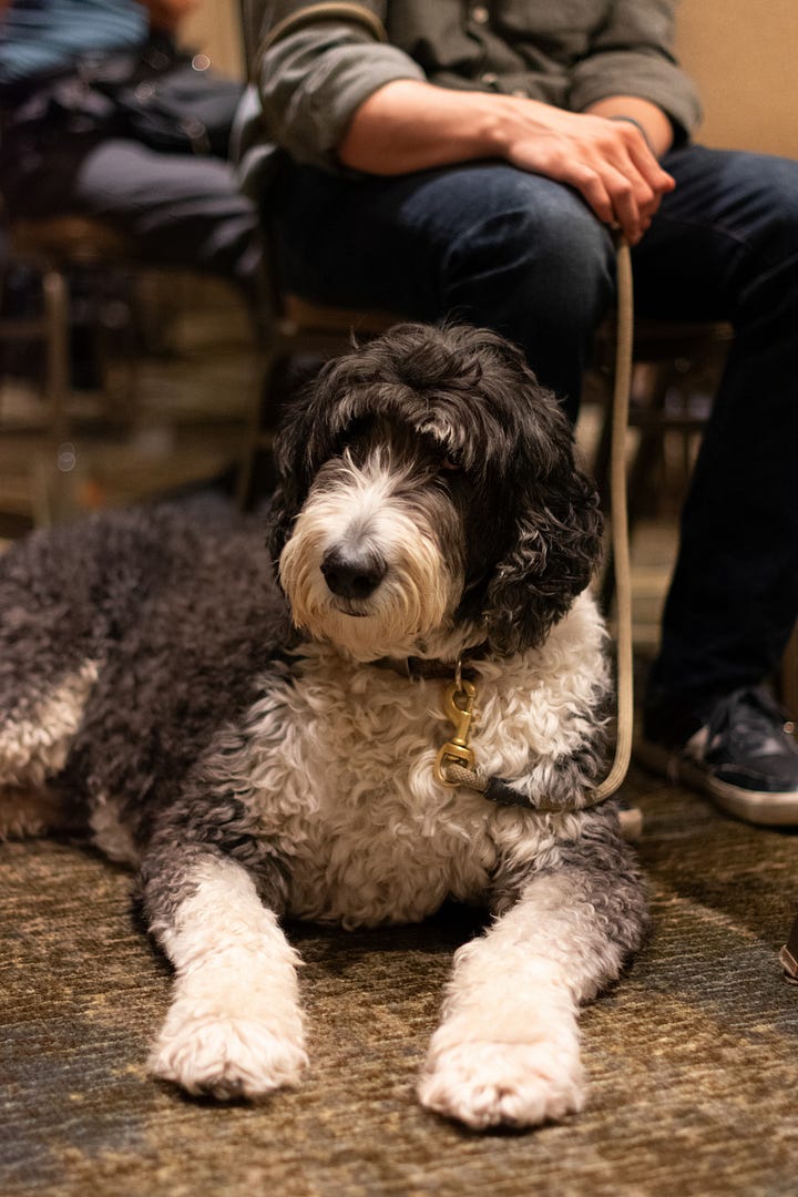Saratoga Book Festival