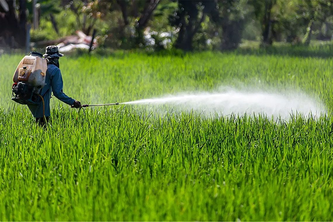 The Cabinet has given the green light to import glyphosate!