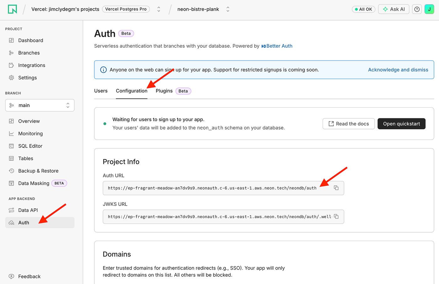 Setting up the auth for BloggFast in Neon. Image by Jim Clyde Monge