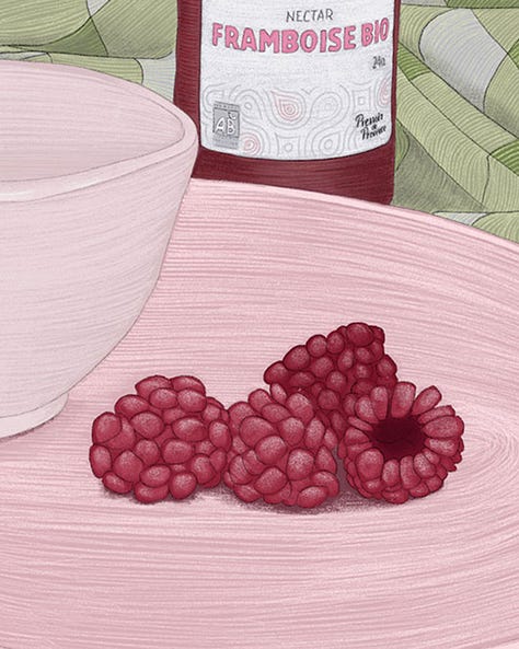 Travaux préparatoires, détails et dessin terminé de l'illustration pour la sortie des bouteilles de nectar de framboise bio : deux bouteilles sur une nappe de pique nique, à coté d'une assiette dans laquelle restent quelques framboises.