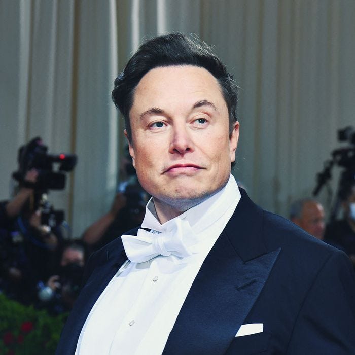 Did Elon Musk Have Twins With One of His Executives? Did Elon Musk Have Twins With One of His Executives?