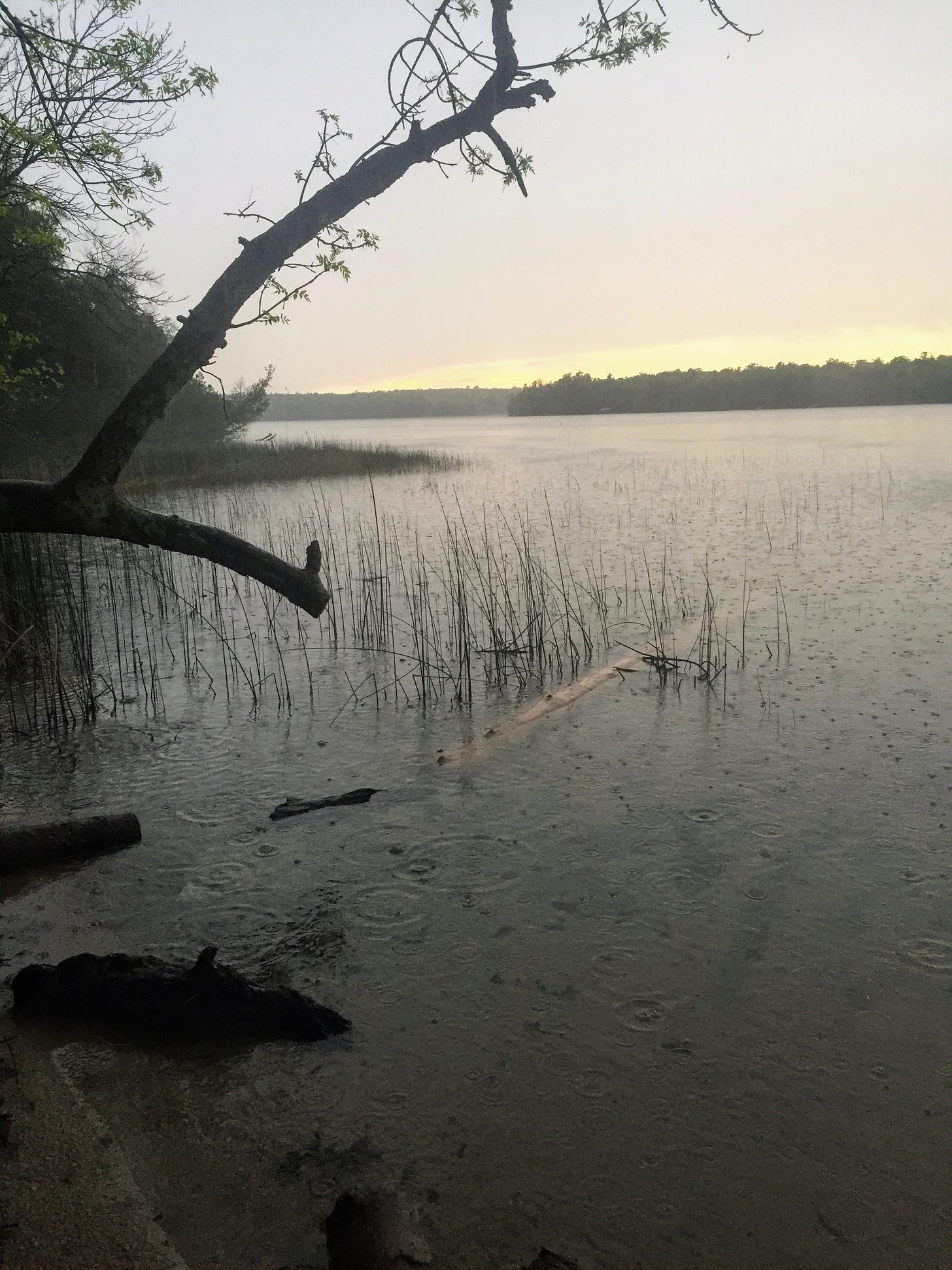 Raindrops falling on Europe Lake at Newport State Park