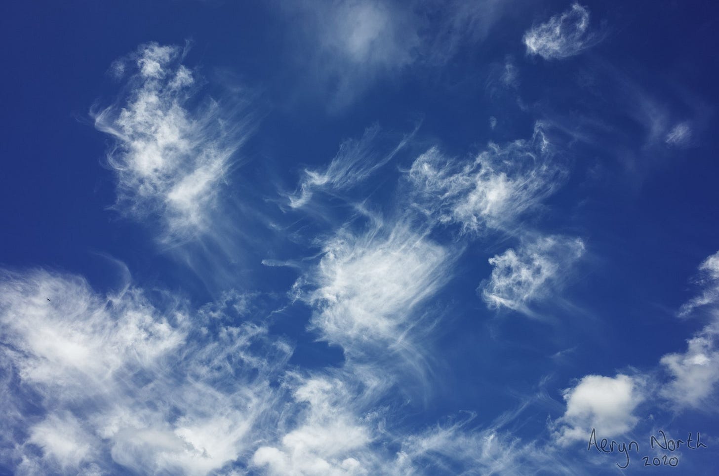 20201207-1148-11-painted-clouds-high-lane-by-Aeryn-North.jpg