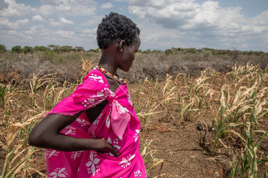 A farmer in South Sudan wearing a pink gown surveys her crops withered by drought. Photo: WFP/Gabriela Vivacqua A farmer in South Sudan wearing a pink gown surveys her crops withered by drought. Photo: WFP/Gabriela Vivacqua