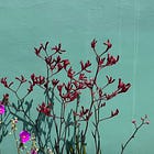 where attention goes, energy flows