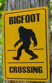 Look both ways before crossing