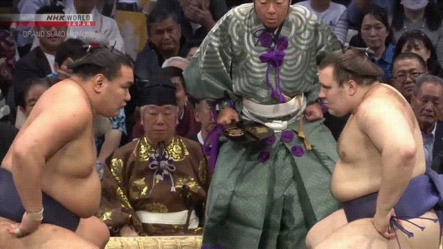 Sumo Stomp! | Tim Bissell | Substack